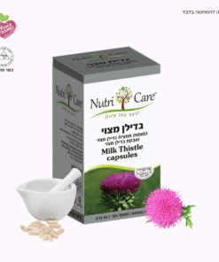 גדילן מצוי 60 כמ'